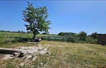 Eladó Zaránki családi ház hirdetés (28571354)