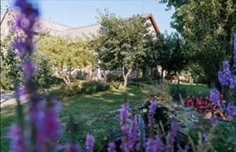 Eladó Naszályi tanya hirdetés (45492234)