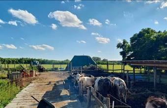 Eladó Kisbéri egyéb ipari ingatlan hirdetés (51624357)