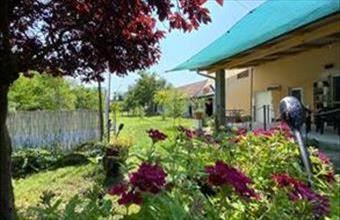 Eladó Ráckevei családi ház hirdetés (88386576)