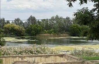 Eladó Mezőtúri lakóövezeti telek hirdetés (47843216)