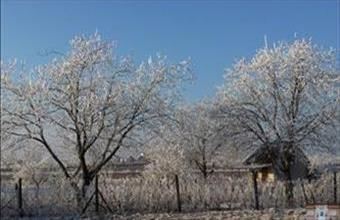 Eladó Monori termőföld, szántó hirdetés (93965212)