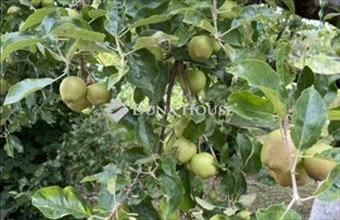 Eladó Környei egyéb telek hirdetés (78345395)