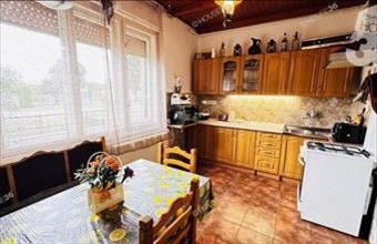 Eladó Helvéciai családi ház hirdetés (88557797)