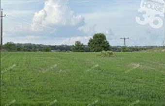 Eladó Kecskeméti külterületi telek hirdetés (74543343)