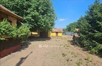 Eladó Újkígyósi családi ház hirdetés (29465424)