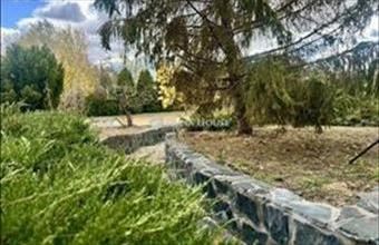 Eladó Kecskeméti családi ház hirdetés (36774847)