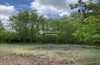 Eladó Lajosmizsei termőföld, szántó hirdetés (47552222)