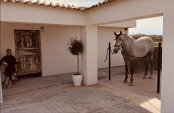 Eladó Spanyolországi tanya hirdetés (49265416)