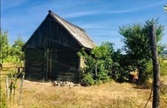 Eladó Dörgicsei egyéb mezőgazdasági ingatlan hirdetés (43764449)