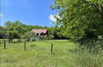 Eladó Domonyi egyéb mezőgazdasági ingatlan hirdetés (24439657)