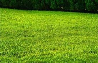 Eladó Siófoki lakóövezeti telek hirdetés (47236974)