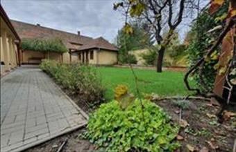 Kiadó Vecsési családi ház hirdetés (35494873)