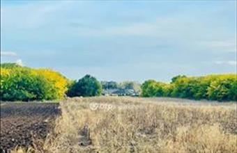 Eladó Debreceni külterületi telek hirdetés (74638259)