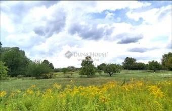 Eladó Vértesszőlősi külterületi telek hirdetés (33998487)