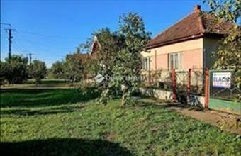 Eladó Sárrétudvari családi ház hirdetés (39454438)