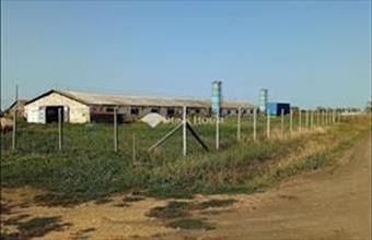 Eladó Sárrétudvari egyéb mezőgazdasági ingatlan hirdetés (33996554)