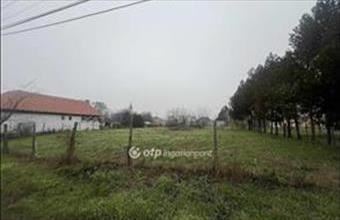 Eladó Tápiószelei lakóövezeti telek hirdetés (89426448)