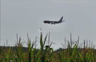 Eladó Vecsési külterületi telek hirdetés (52159938)