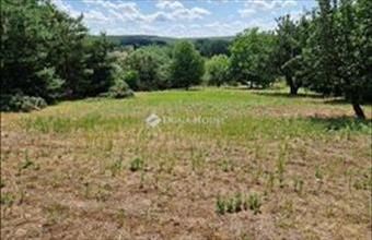 Eladó Sülysápi lakóövezeti telek hirdetés (98436923)