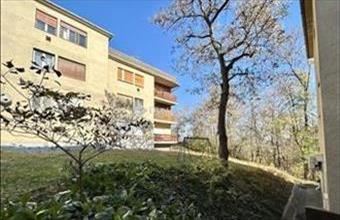 Eladó Budapest II. kerületi tégla lakás hirdetés (33346387)