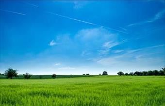 Eladó Nyíregyházai lakóövezeti telek hirdetés (52476517)