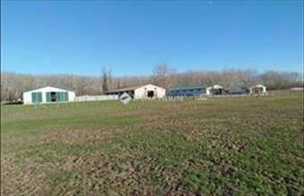 Eladó Tatárszentgyörgyi egyéb mezőgazdasági ingatlan hirdetés (63247347)