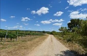 Eladó Vászolyi egyéb telek hirdetés (49267753)