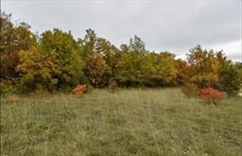 Eladó Pécselyi külterületi telek hirdetés (49385854)