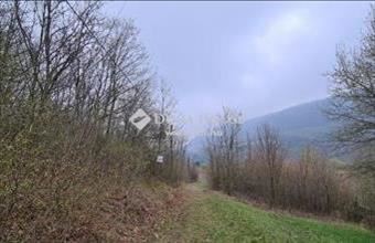 Eladó Kesztölci üdülőövezeti telek hirdetés (55737297)