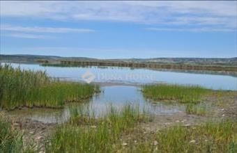 Eladó Gárdonyi hétvégi ház hirdetés (75251633)