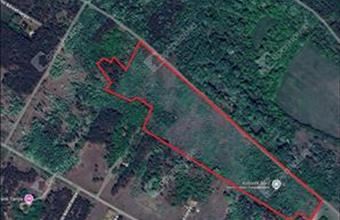 Eladó Ásotthalomi erdő hirdetés (13385477)