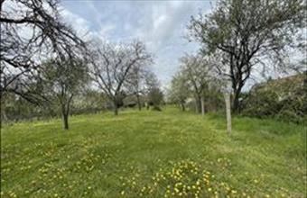 Eladó Komáromi családi ház hirdetés (36964459)