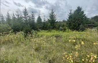 Eladó Szomódi egyéb mezőgazdasági ingatlan hirdetés (39897434)