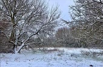 Eladó Fóti külterületi telek hirdetés (69374334)