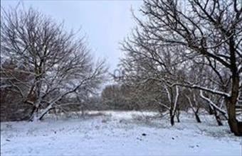 Eladó Fóti külterületi telek hirdetés (76484784)