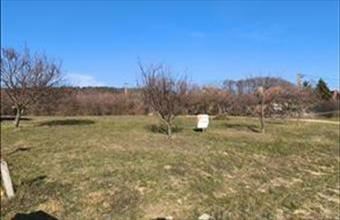 Eladó Pilisborosjenői lakóövezeti telek hirdetés (35336477)