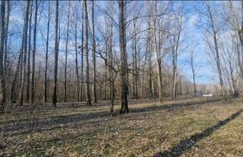 Eladó Ceglédi termőföld, szántó hirdetés (72543383)