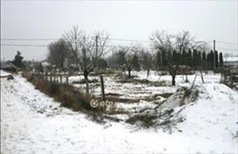 Eladó Dunaszegi lakóövezeti telek hirdetés (99481257)