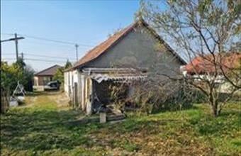 Eladó Seregélyesi családi ház hirdetés (47338763)