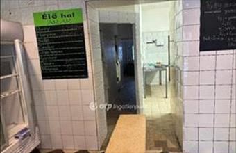 Eladó Mohácsi üzlethelyiség utcafronton hirdetés (29953914)