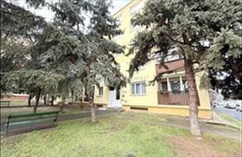 Eladó Százhalombattai panel lakás hirdetés (94773934)