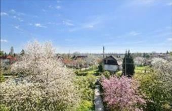 Eladó Érdi családi ház hirdetés (47473443)