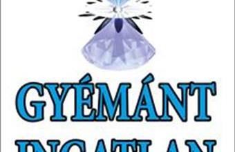 Eladó Salgótarjáni egyéb ház hirdetés (79488686)