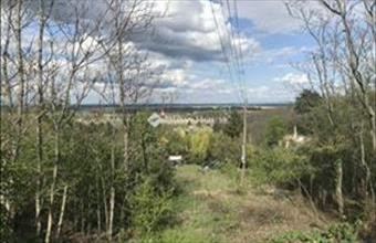 Eladó Pázmándfalui lakóövezeti telek hirdetés (74249483)