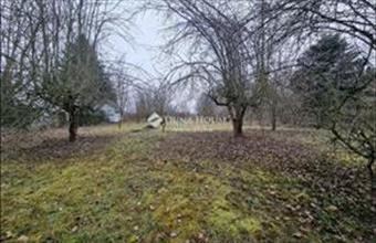 Eladó Tiszaugi üdülőövezeti telek hirdetés (82793332)