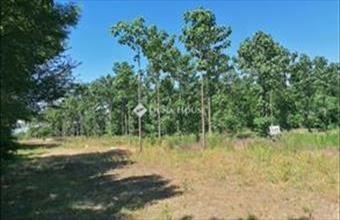 Eladó Bicskei külterületi telek hirdetés (38465754)