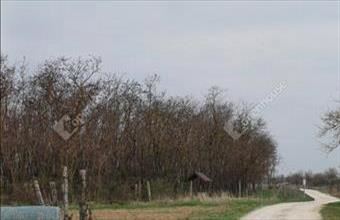 Eladó Fertőszentmiklósi külterületi telek hirdetés (32353639)