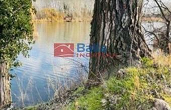 Eladó Szigetcsépi egyéb telek hirdetés (48227844)