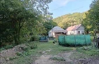 Eladó Zebegényi tanya hirdetés (94263328)